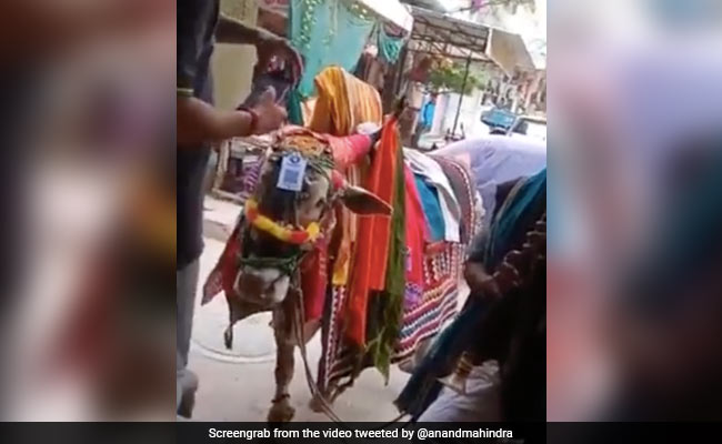 आनंद महिंद्रा ने शेयर किया Digital Payment का मज़ेदार Video, तो लोग करने लगे PM मोदी की तारीफ