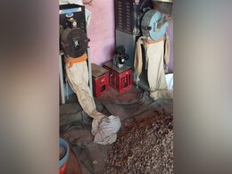 Anti-Drug Agency Seizes Over 100 Kg Poppy Straw, Other Drugs In Maharashtra Anti-Drug Agency Seizes Over 100 Kg Poppy Straw, Other Drugs In Maharashtra