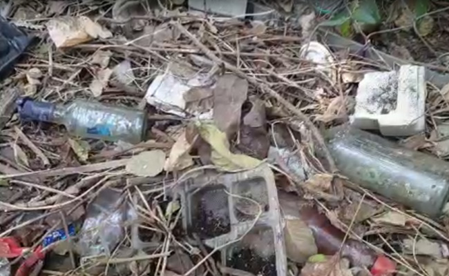 Empty Liquor Bottles On Bihar Assembly Campus Spark Tejashwi Yadav Attack