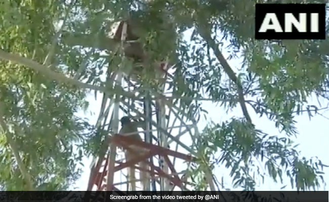 BSNL टावर पर चढ़ा शिक्षक, हाथ में पेट्रोल लेकर देने लगा धमकी, कहा- सरकार पूरी करे ये मांग - देखें Video