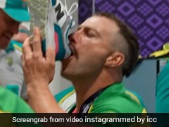 Watch: Wade, Stoinis Drink From A Shoe After T20 World Cup Triumph