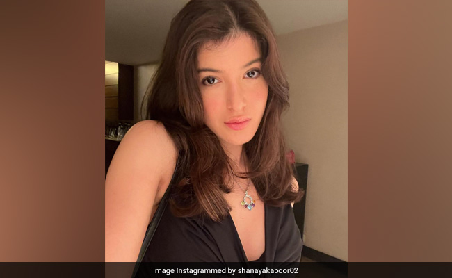 Shanaya Kapoor's "Photo Dump" Is All About "Little Things"