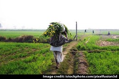 जलवायु परिवर्तन से खाद्य उत्पादन कैसे प्रभावित होता है? जलवायु परिवर्तन से खाद्य उत्पादन कैसे प्रभावित होता है?
