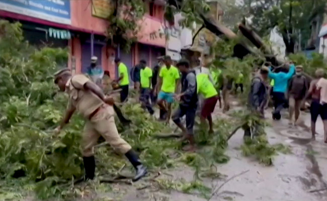 Rain Damages 50,000 Hectares Of Crop As Tamil Nadu Braces For 4th Spell
