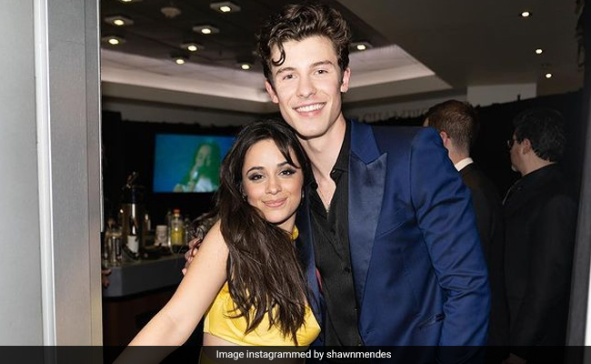 Camila Cabello And Shawn Mendes Announce Break-Up, "Will Continue To Be Best Friends"