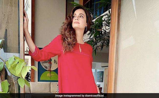 Dia Mirza's Mumbai Home Is Her "Sanctuary." See Pics Of Her House Inside