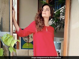 We Can't Help But Drool Over Dia Mirza's Birthday Treat We Can't Help But Drool Over Dia Mirza's Birthday Treat