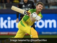 T20 WC Final: आलोचकों के मुंह पर वॉर्नर की वाइफ ने लगाया ताला, ऐसे रिएक्ट कर मारा तंज