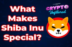 Crypto Unfiltered | Is Dogecoin Losing the Popularity War? Crypto Unfiltered | Is Dogecoin Losing the Popularity War?