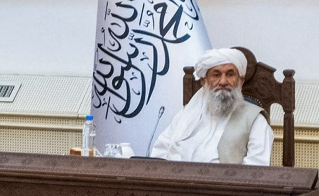 Taliban Says It Won't Interfere In "Internal Affairs" Of Other Countries