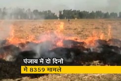 पंजाब और हरियाणा में पराली जलाने का सिलसिला नहीं थम रहा पंजाब और हरियाणा में पराली जलाने का सिलसिला नहीं थम रहा