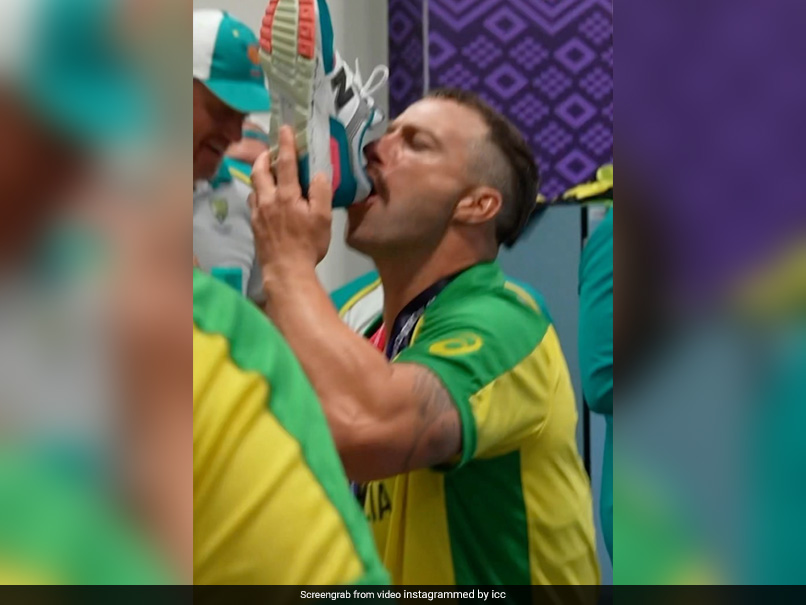 Watch: Matthew Wade, Marcus Stoinis' 'Shoey' Celebration Will Make Your Stomach Turn