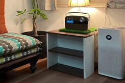 Things You Need to Know Before Buying an Air Purifier Things You Need to Know Before Buying an Air Purifier