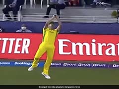 Watch: Josh Hazlewood's Dropped Catch Of Kane Williamson In T20 World Cup Final