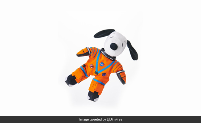 'Astronaut Snoopy' Will Fly To Space On NASA's Artemis I Moon Mission