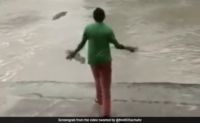 Viral Video: Woman Scares Off Crocodile With Her Slippers