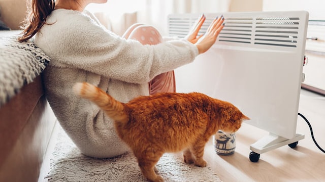 Utilise a thermostat or timer feature if available on the room heater