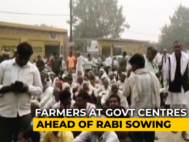 Long Queues Of Farmers Outside Fertilizer Centres In UP, Centre Claims No Shortage