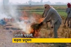 पिछले 5 सालों की तुलना में इस बार ज्यादा जल सकती है पराली : NASA के वैज्ञानिक का दावा पिछले 5 सालों की तुलना में इस बार ज्यादा जल सकती है पराली : NASA के वैज्ञानिक का दावा