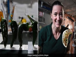 Amazing! NASA Astronauts Make Tacos With Chillies Grown In Space Amazing! NASA Astronauts Make Tacos With Chillies Grown In Space