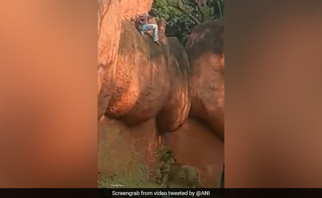 Watch: Hyderabad Zoo Staff Rescue Man From African Lion's Moat Area
