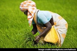 Agriculture Sector Is The First To Be Affected By Climate Change: WFP Agriculture Sector Is The First To Be Affected By Climate Change: WFP