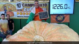 'Monster Pumpkin': This Huge Vegetable Weighs "About The Same As 17.5 adult men"