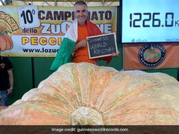 'Monster Pumpkin': This Huge Vegetable Weighs "About The Same As 17.5 adult men"