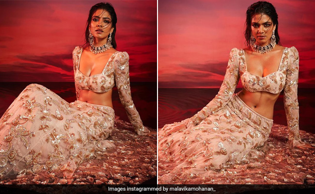 Malavika Mohanan Leaves Us Bedazzled In Her Blush Pink Sequin Shehlaa Khan <i>Lehenga</i>