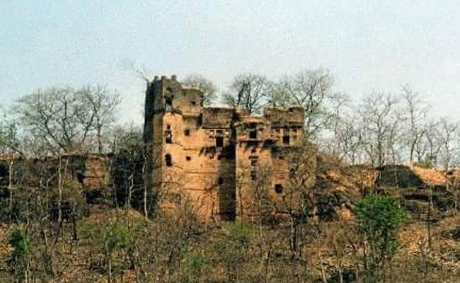 Habibganj Train Station Named After Gond Queen, But Her Fort Is In Ruins
