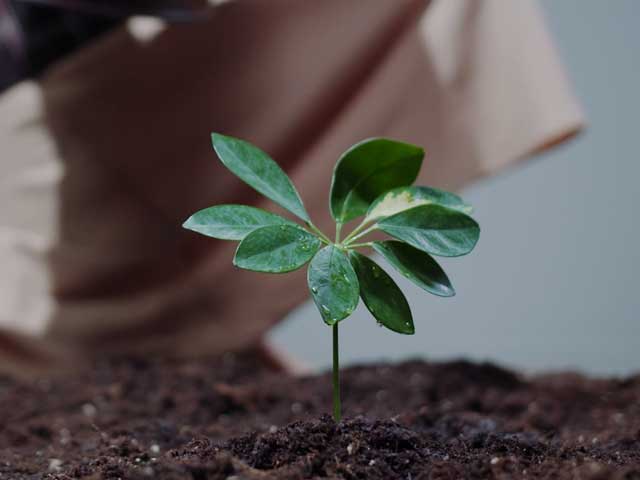 Did COP26 Address The Climate Emergency?