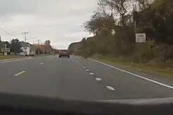 हिरण ने किया गजब स्टंट, हवा में उड़कर पार की सड़क हिरण ने किया गजब स्टंट, हवा में उड़कर पार की सड़क