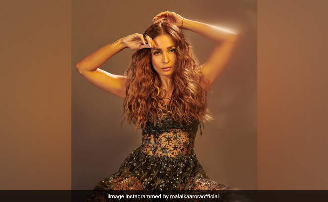 Malaika Arora's Sunday Lunch Thali Featured These Yummy Delights (See Pic)