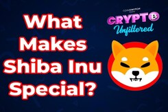 Crypto Unfiltered: Is Dogecoin Losing the Popularity War? Crypto Unfiltered: Is Dogecoin Losing the Popularity War?