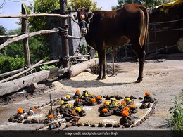 Goverdhan puja 2021:अन्नकूट क्या है, जानिए गोवर्धन पूजा के दिन इसका खास महत्त्व क्यों है Goverdhan puja 2021:अन्नकूट क्या है, जानिए गोवर्धन पूजा के दिन इसका खास महत्त्व क्यों है