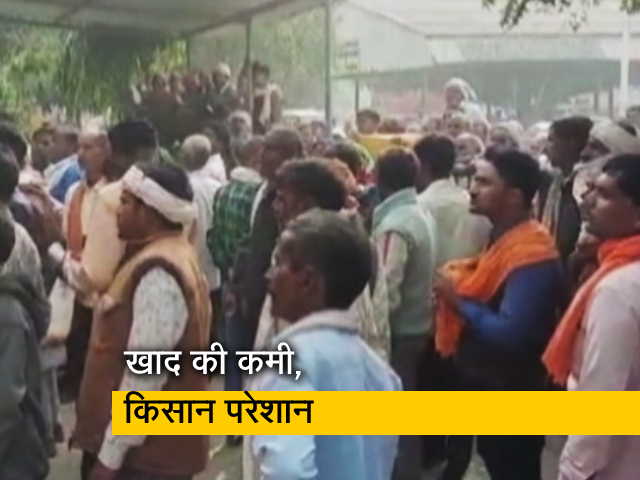 UP में खाद के लिए लंबी लाइन, अधिकारी ने कहा- 'कोई कमी नहीं'