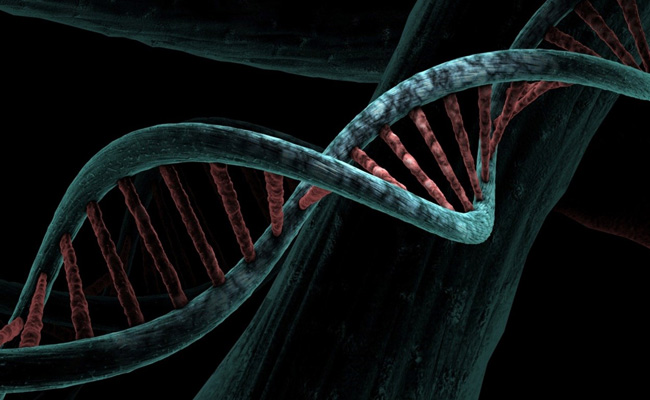 DNA Testing Leads To Arrest In 1983 Canada Murders