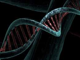 Researchers In Sweden Identify Gene Variant That Protects Against Covid Researchers In Sweden Identify Gene Variant That Protects Against Covid