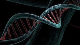 Ancient DNA Uncovers The Genetic Background Of Japanese People: Study