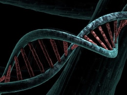 DNA Sequencing May Become Prime Target For Hackers, Warns Study