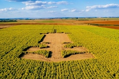 Ferrari Shows Off Its Embrace Of Biofuels In F1 With Brazilian GP