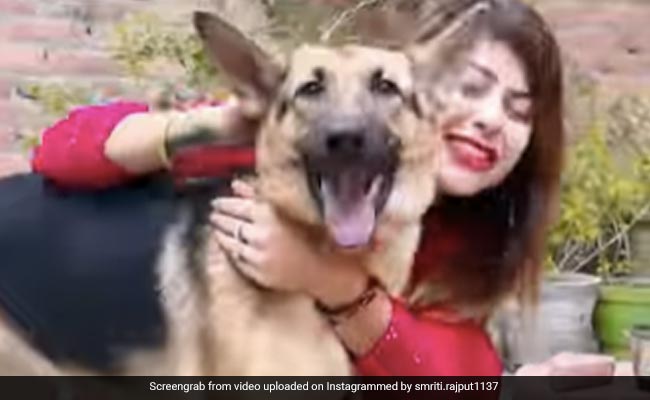 कुत्ते के साथ Instagram Reels बना रही थी लड़की, तभी Doggy को आ गया गुस्सा, लड़की का किया ये हाल - देखें Video
