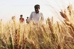 How Are Climate Change And Food Systems Connected? How Are Climate Change And Food Systems Connected?