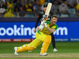 David Warner Named ICC Men's Player Of Month For November, Hayley Matthews Gets Women's Award