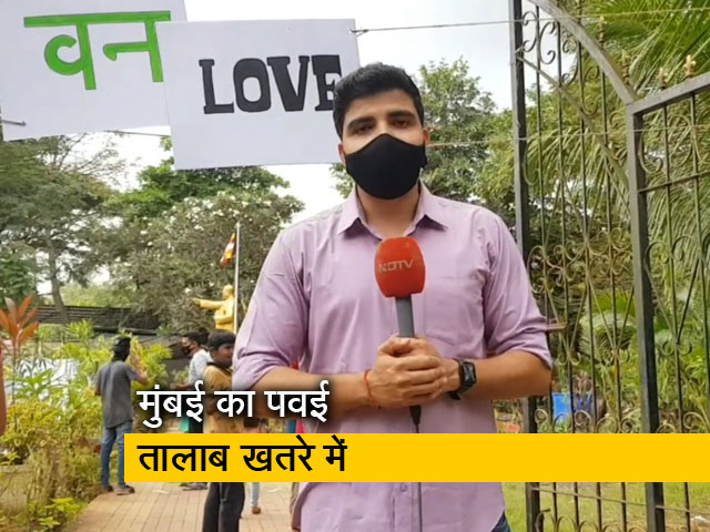 नौ हफ्तों से अलग-अलग तरीके से विरोध जता रहे मुंबई के पर्यावरण प्रेमी, बता रहे हैं सोहित मिश्रा