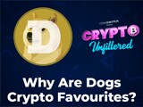Video: Crypto Unfiltered: How 'Whales' & 'Dogs' Affect Your Investment