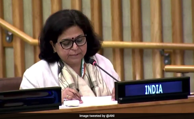 "Where Terrorists Enjoy Free Pass": India Rips Into Pakistan At UN