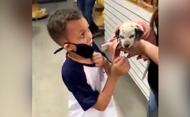 छोटे डॉगी को देख खुशी से खिलखिला उठा बच्चा, वायरल वीडियो देख हर कोई हो जाएगा खुश