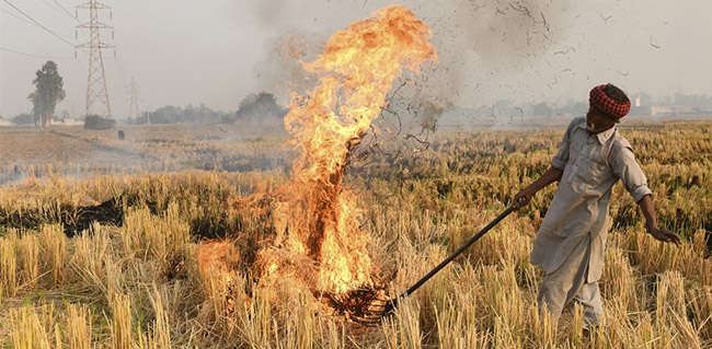 Punjab Prepares Elaborate Plan To Fight Stubble-Burning In Harvest Season