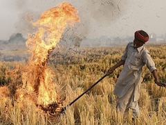 192 Farmers Charged For Stubble Burning In Haryana